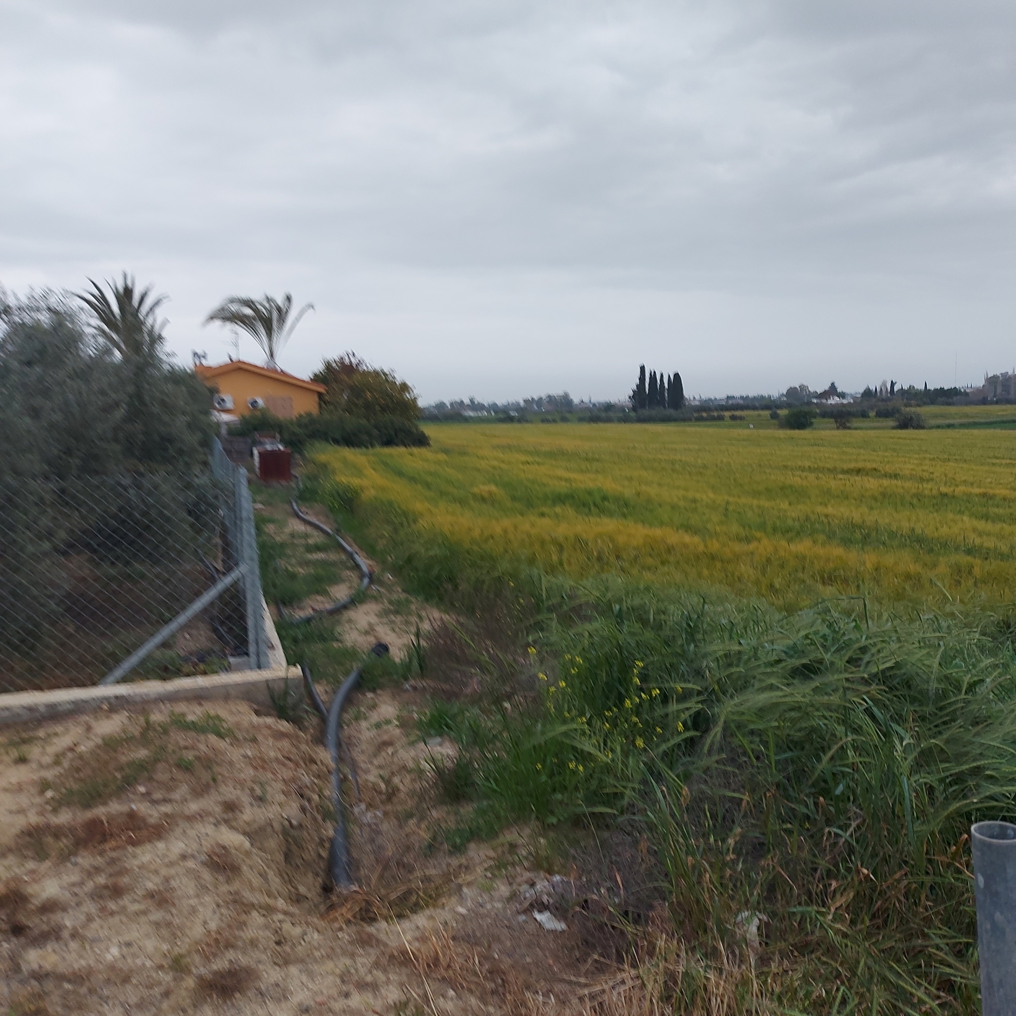 Plot for Sale In Ergates