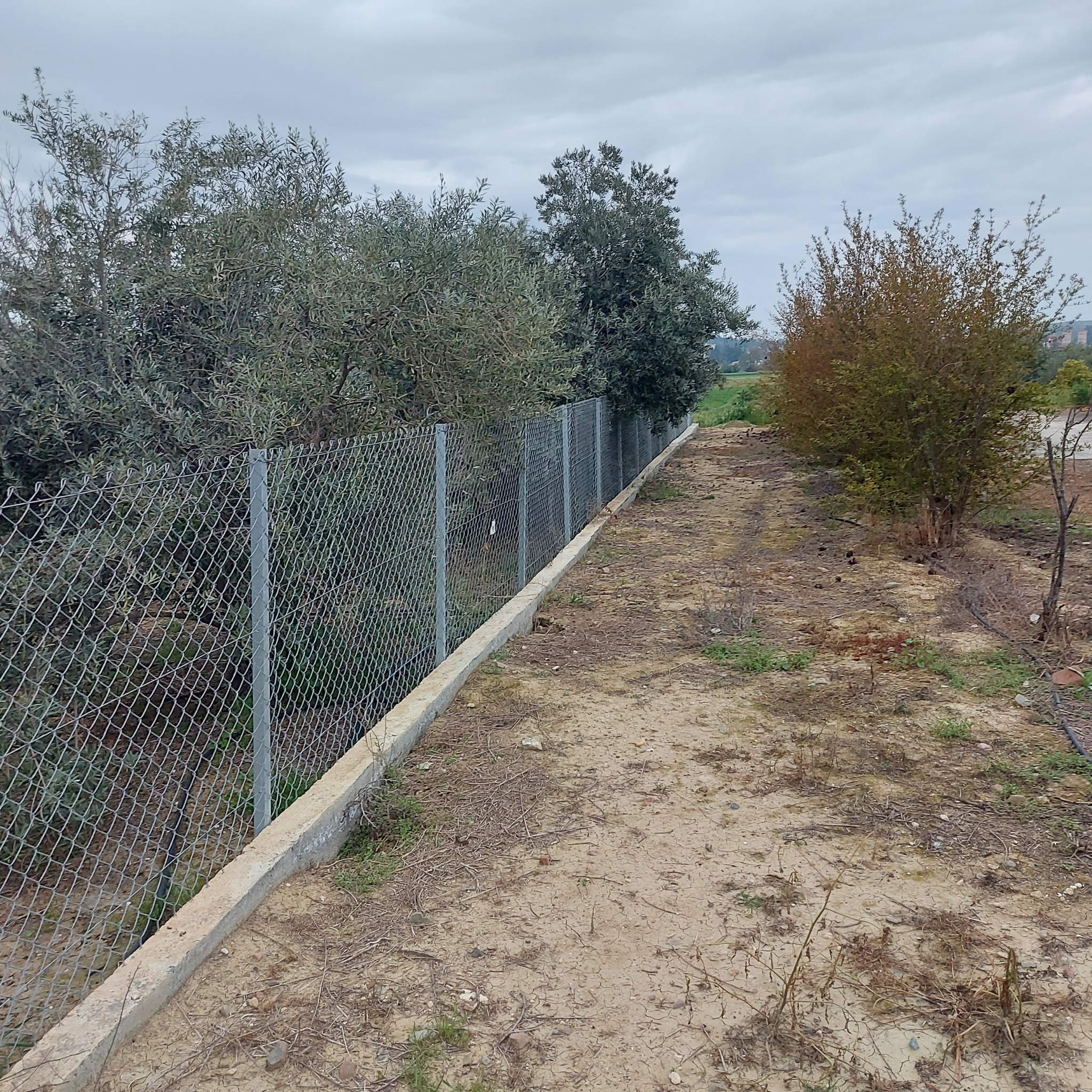 Plot for Sale In Ergates