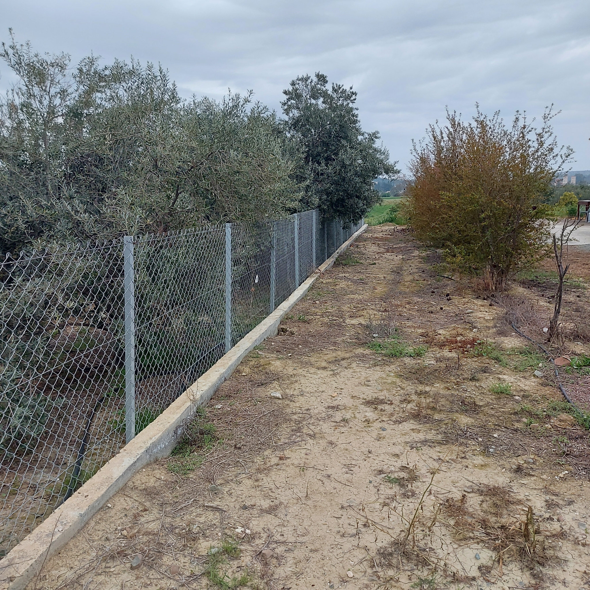 Plot for Sale In Ergates