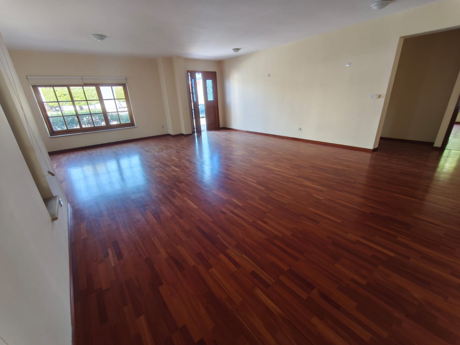 Amazing 3 Bedroom House For Rent In Lakatamia
