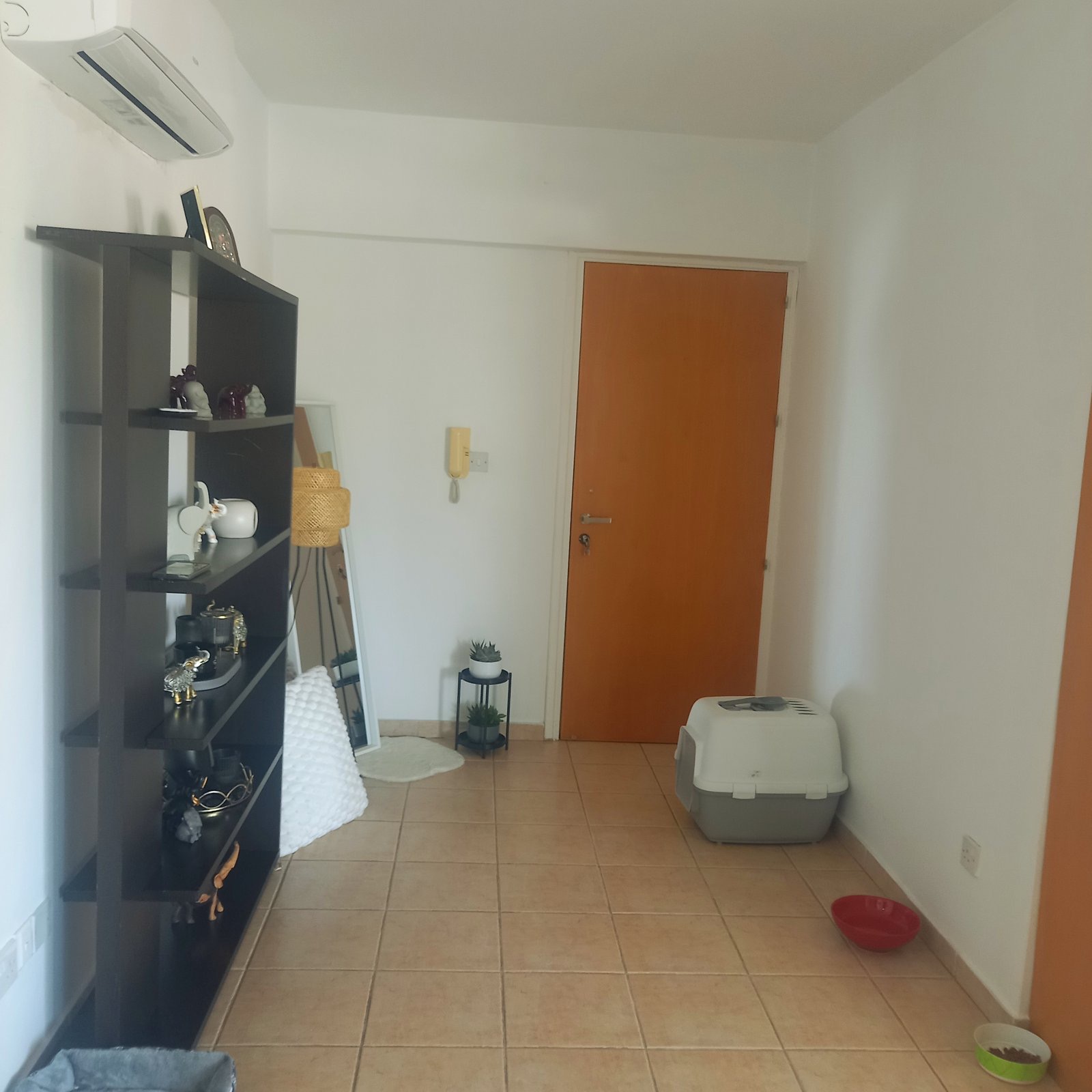 1 Bedroom Apartment In Dasoupoli