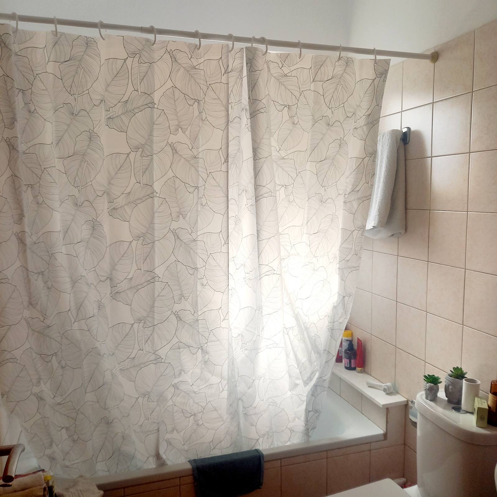 1 Bedroom Apartment In Dasoupoli