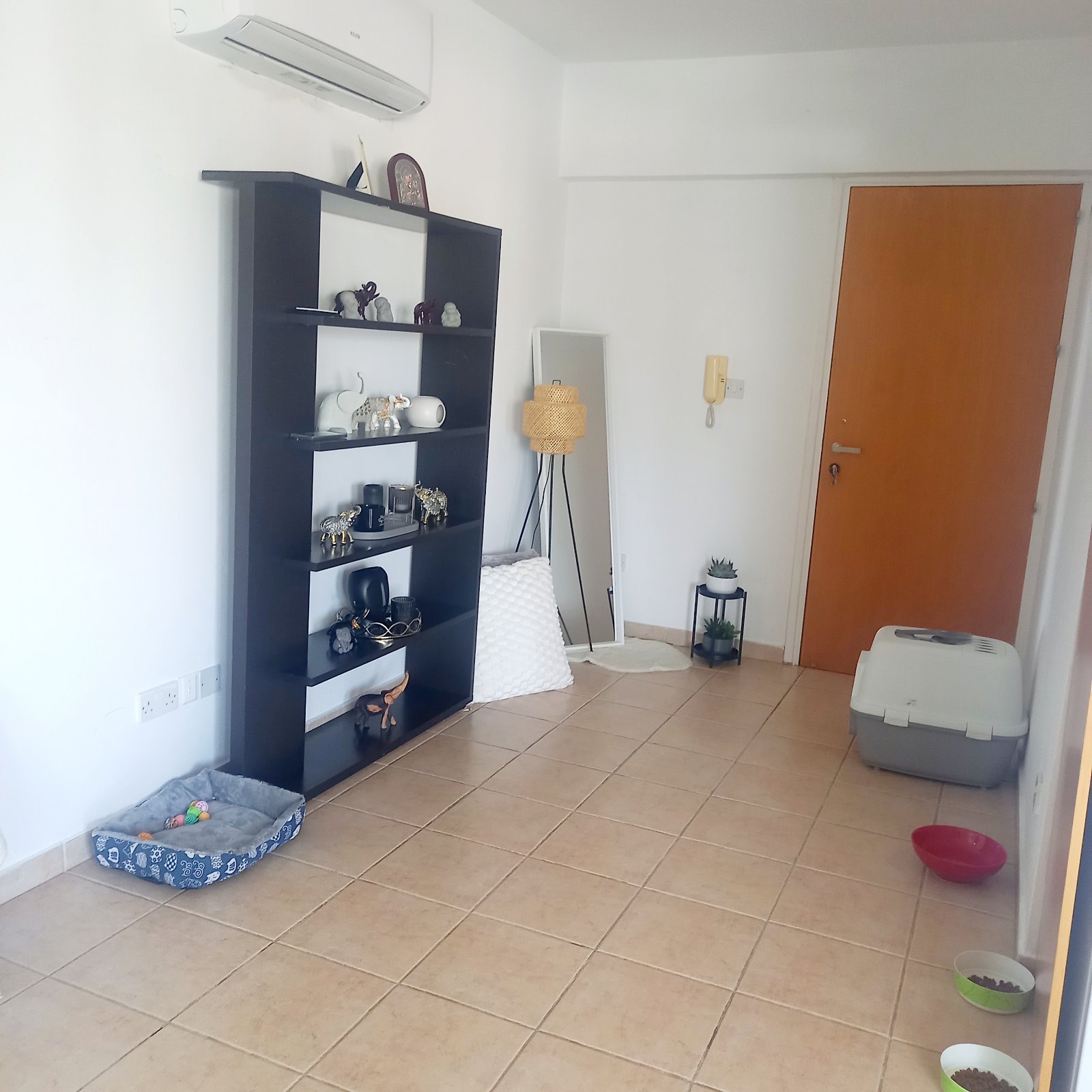1 Bedroom Apartment In Dasoupoli