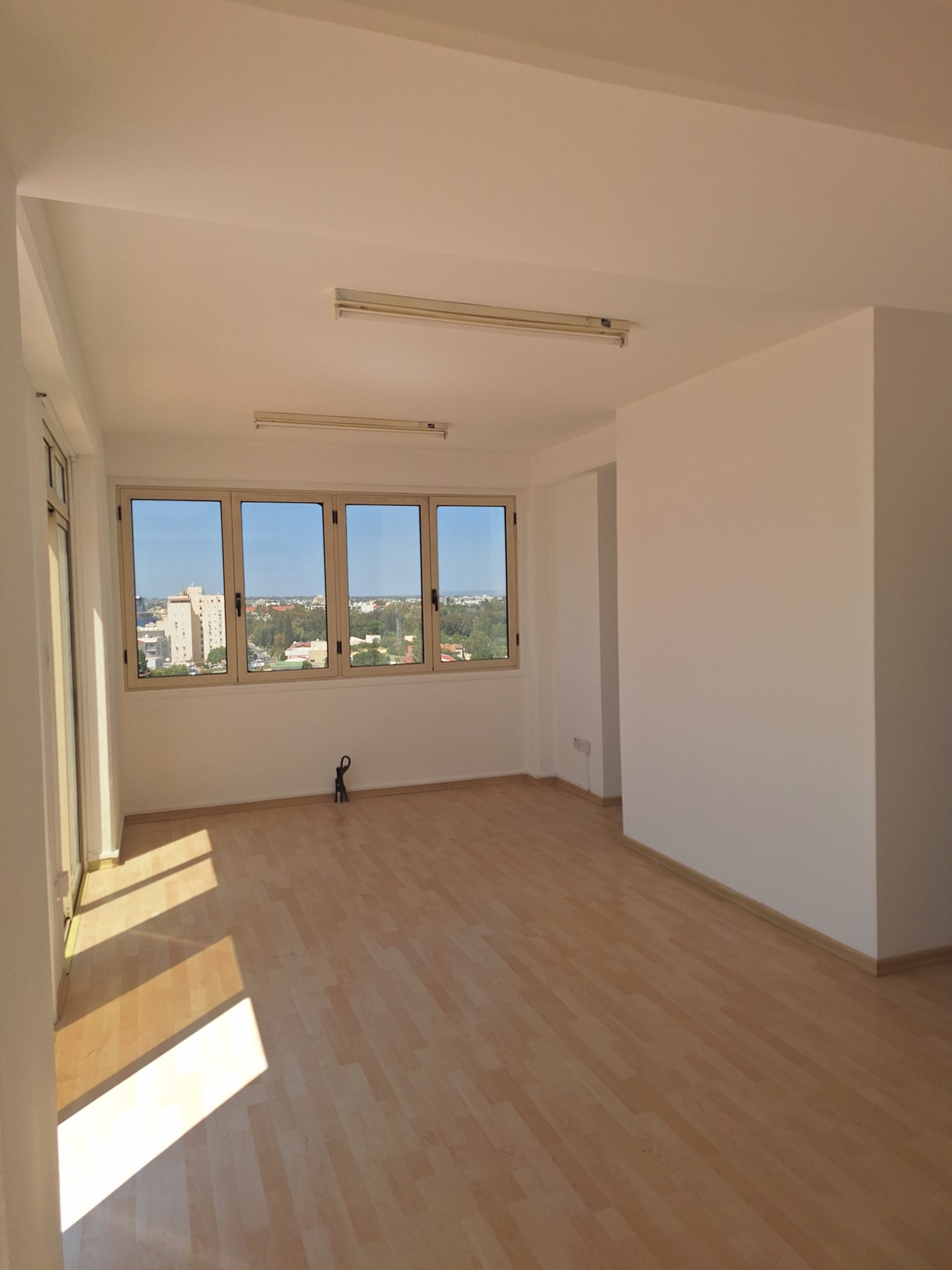 Penthouse Office For Rent In Acropolis