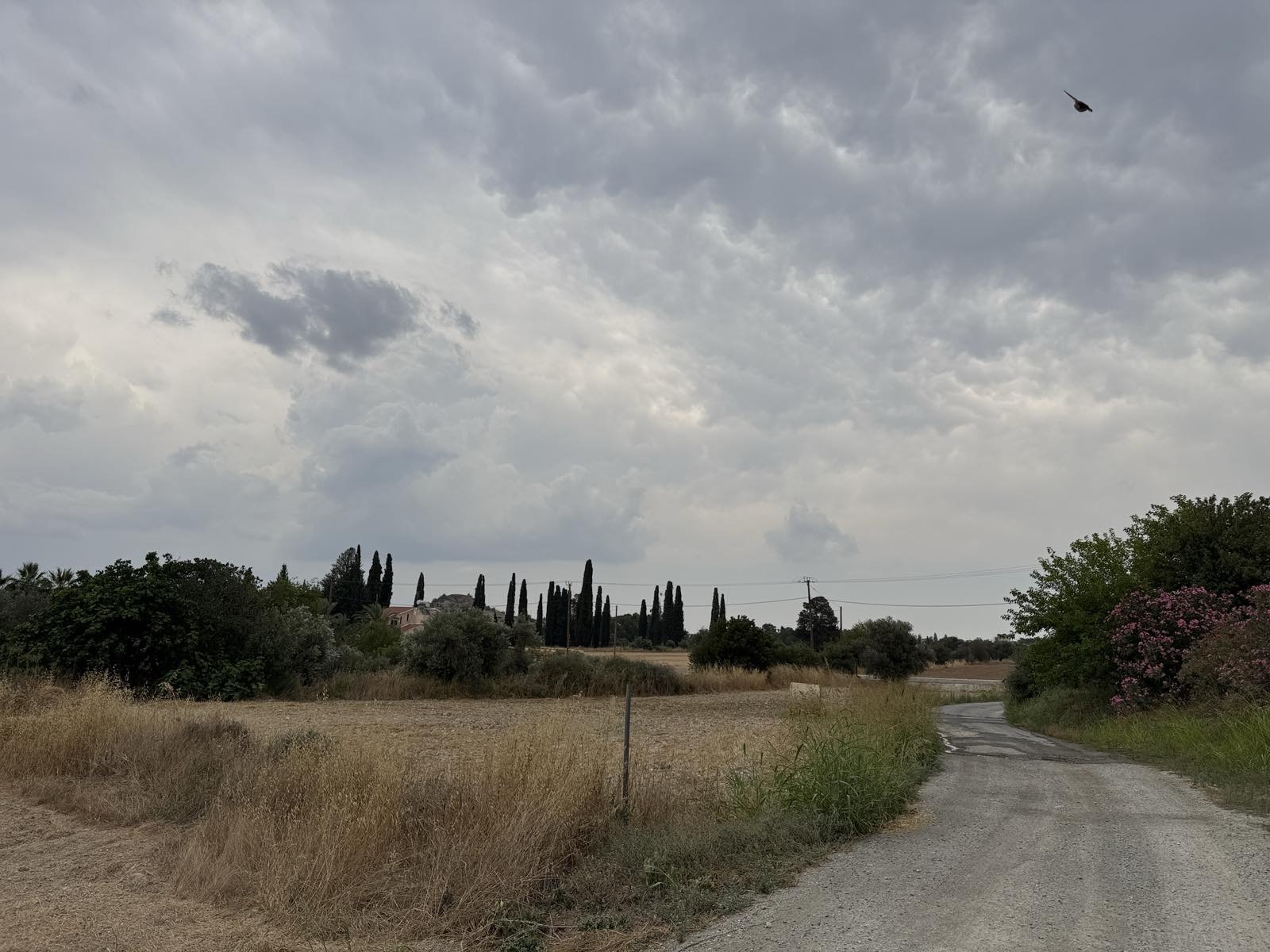 Plot For Sale In Politiko, Nicosia